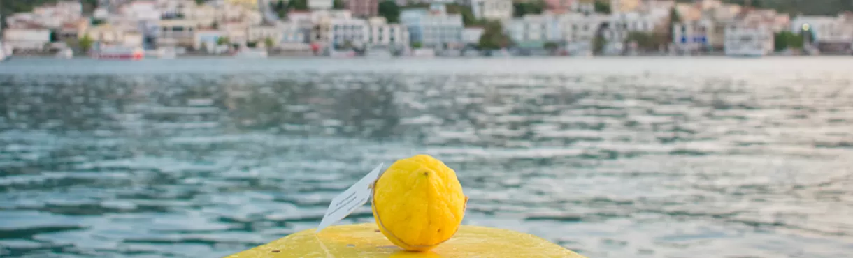 LEMON | Περιοδεία - Καλοκαίρι 2025