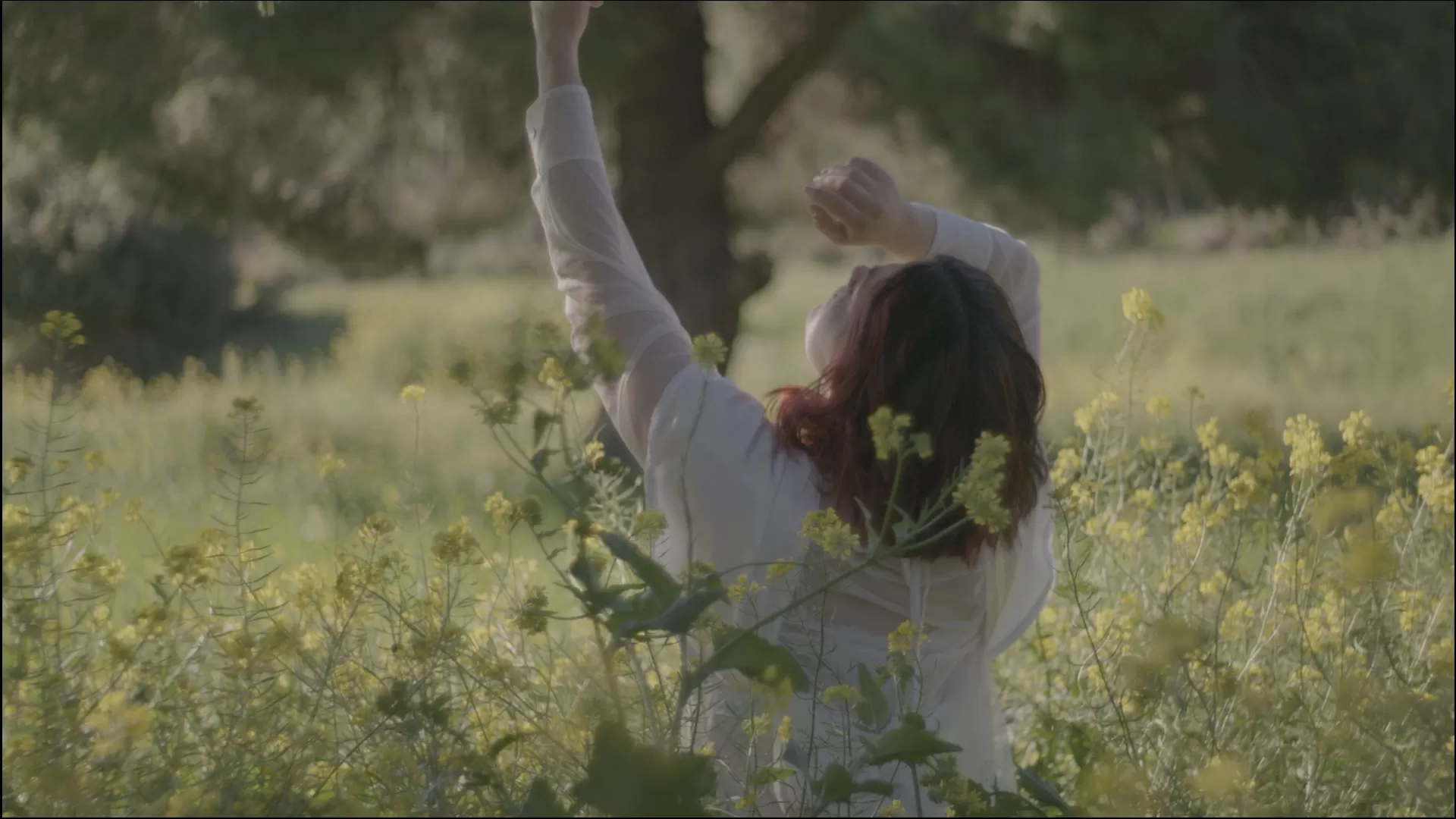 Πολυξένη Καράκογλου «Για άλλους κόσμους»